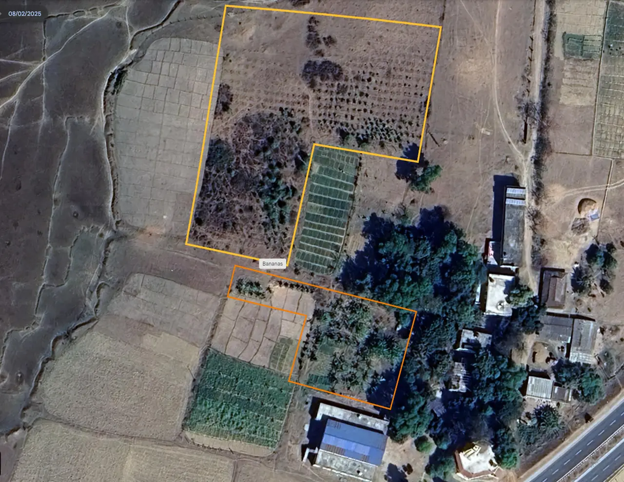 Satellite image of Dumbo farm in 2025 - land is visibly greener with tree cover