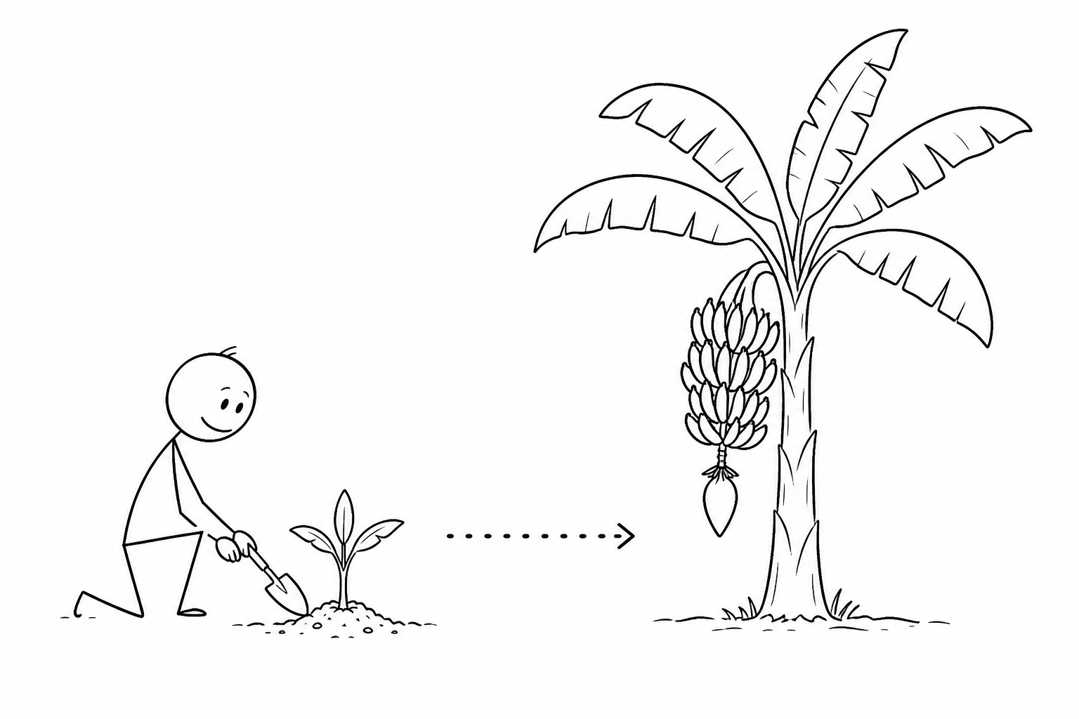Stick-figure drawing of a person planting a banana sapling beside a full-grown banana tree